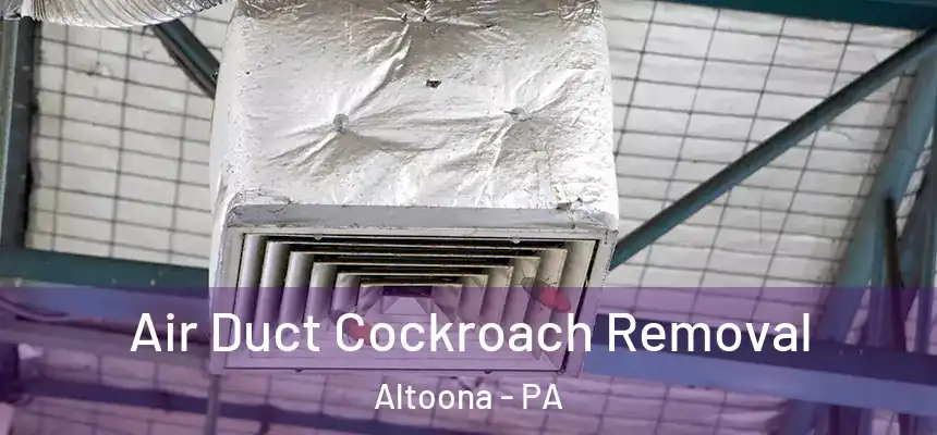 Air Duct Cockroach Removal Altoona - PA