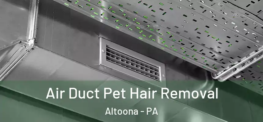  Air Duct Pet Hair Removal Altoona - PA