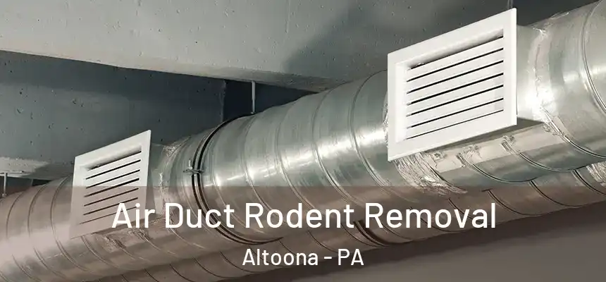  Air Duct Rodent Removal Altoona - PA