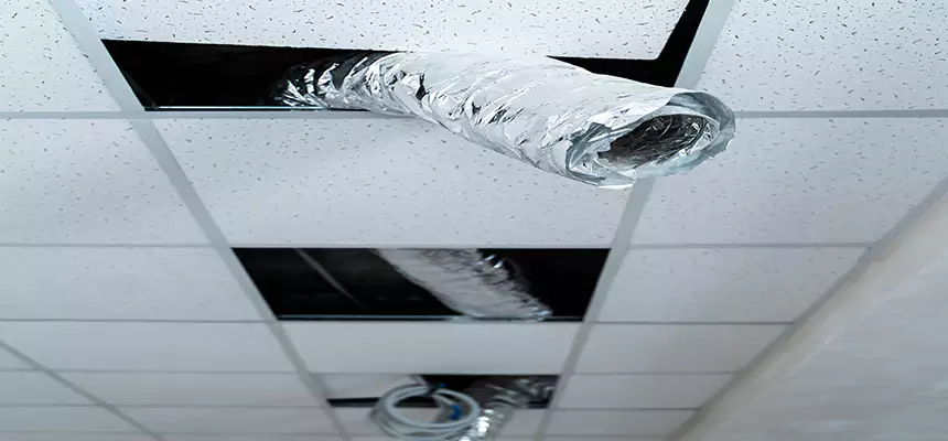 Our Air Duct Pet Hair Removal Services in Altoona, PA