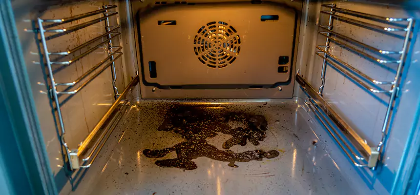 Our Dryer Vent Mold Cleaning Services in Altoona, PA