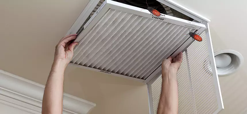 Our Insect Removal from Air Ducts Services in Altoona, PA