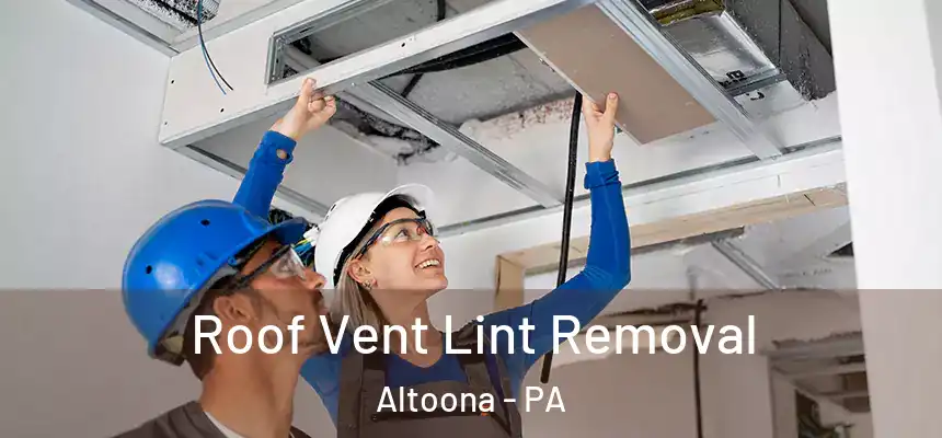  Roof Vent Lint Removal Altoona - PA