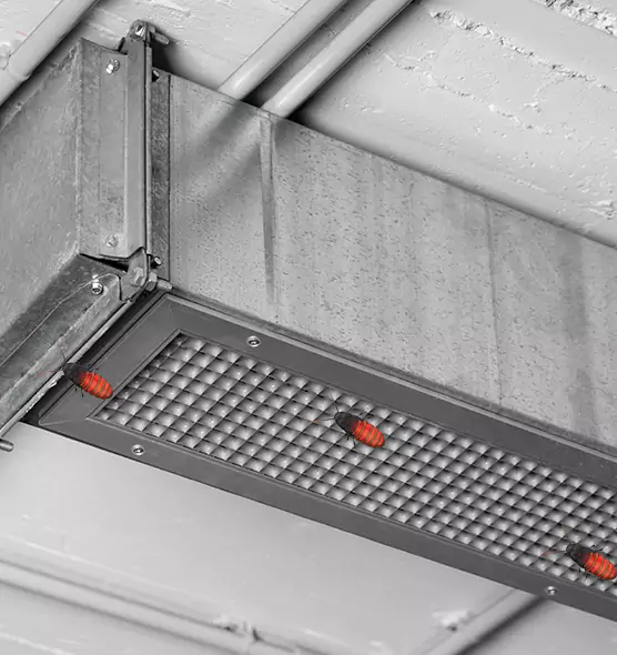 About Air Duct Cockroach Removal in Altoona, PA