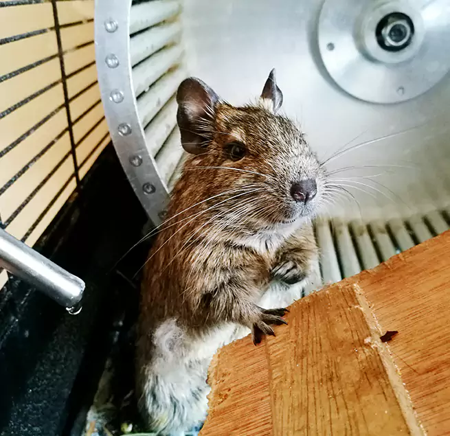 Why Homeowners & Businesses Trust Us Altoona, PA?